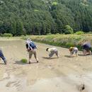 菅野 友花さんのルームシェアの写真